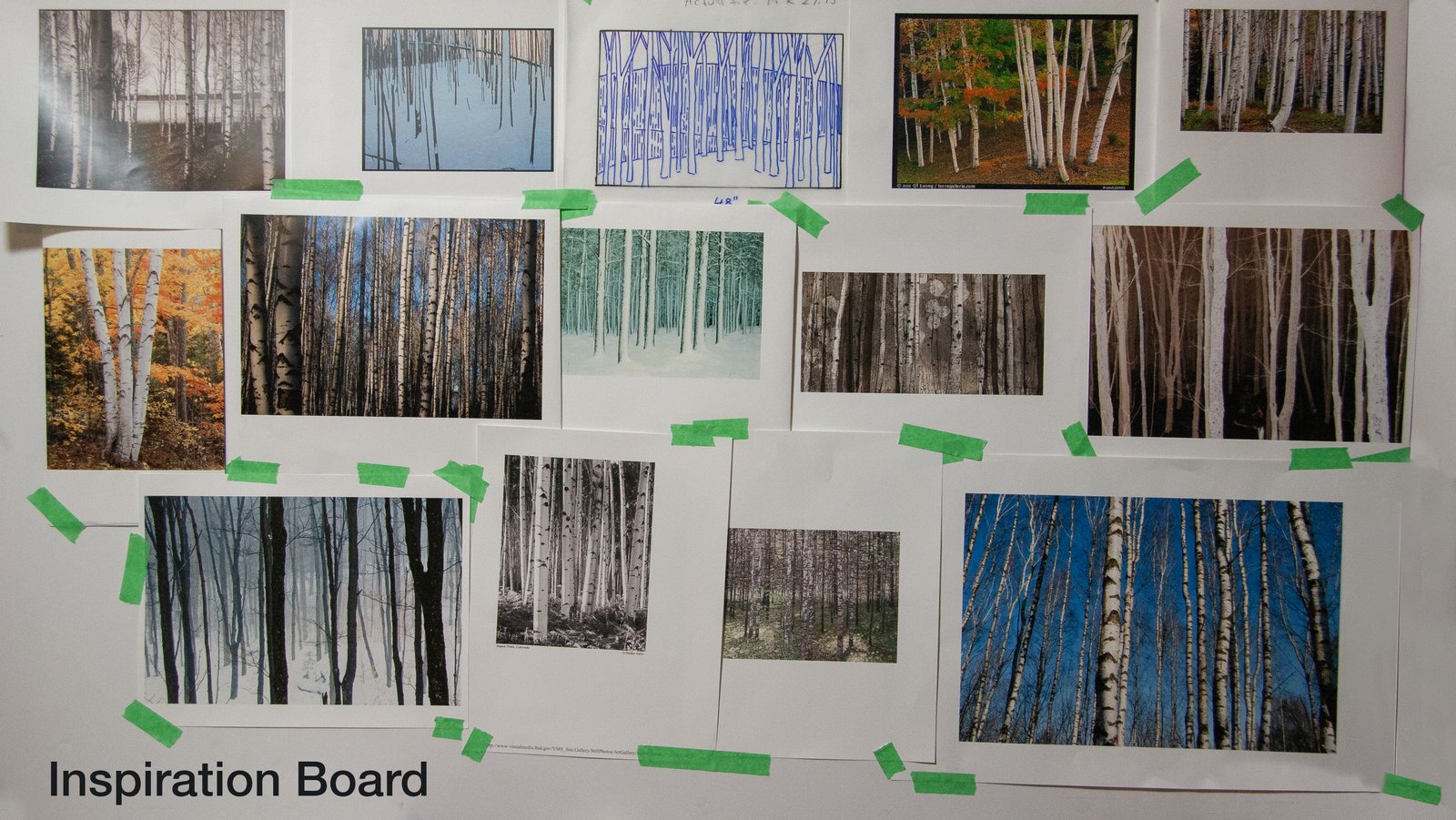 Birch Forest