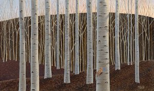 Birch Forest
