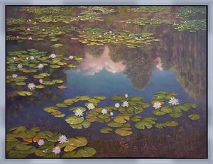 Lilly Pond