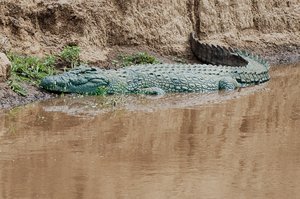 Image 36